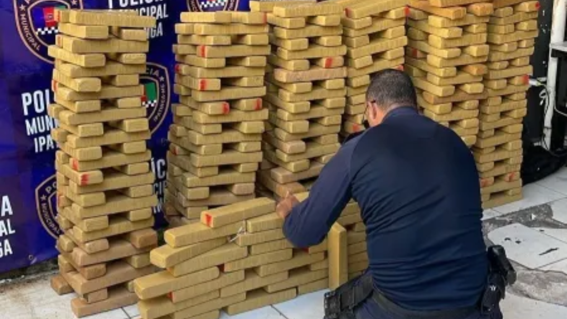 Operação na BR-381 resulta na maior apreensão de maconha em Ipatinga