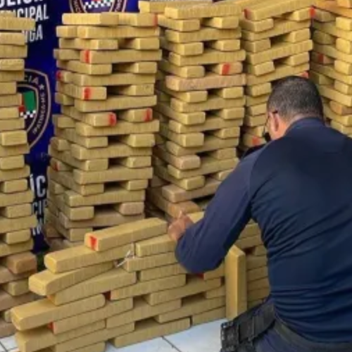 Operação na BR-381 resulta na maior apreensão de maconha em Ipatinga