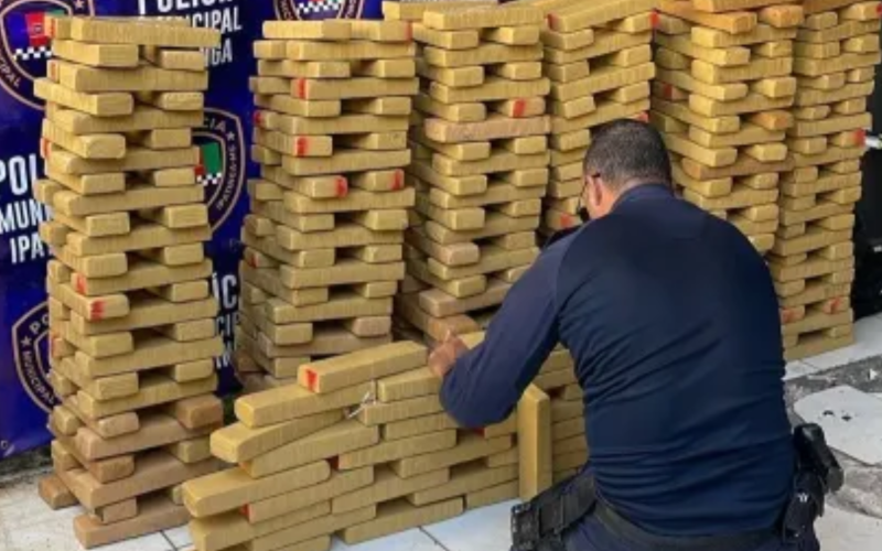 Operação na BR-381 resulta na maior apreensão de maconha em Ipatinga