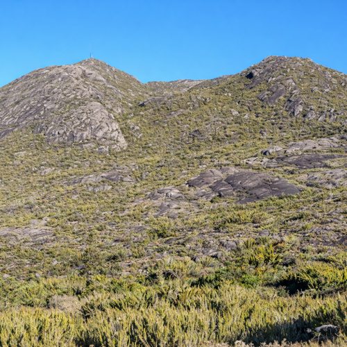 Irmãos desaparecidos no Parque do Caparaó são localizados após 59 horas de buscas.