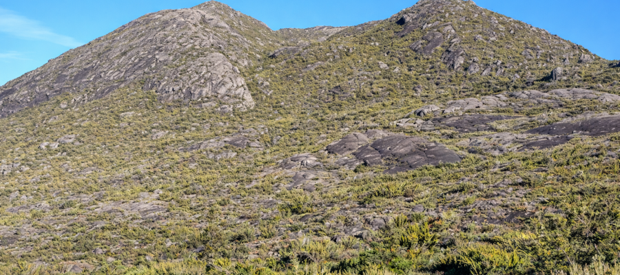 Irmãos desaparecidos no Parque do Caparaó são localizados após 59 horas de buscas.