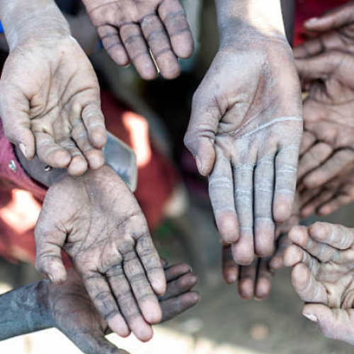 MPT assegura bloqueio de bens em caso de trabalho análogo à escravidão em MG