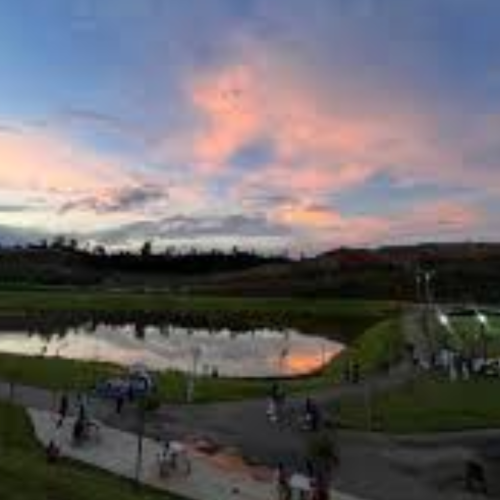 Operação apreende 20 quilos de maconha no Cidade Nova, em Santana do Paraíso