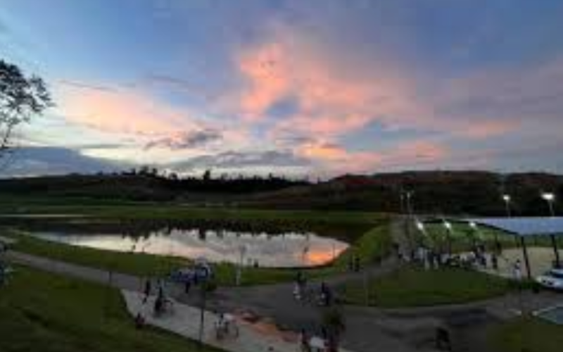 Operação apreende 20 quilos de maconha no Cidade Nova, em Santana do Paraíso